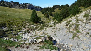 Vidange fosse septique Challans